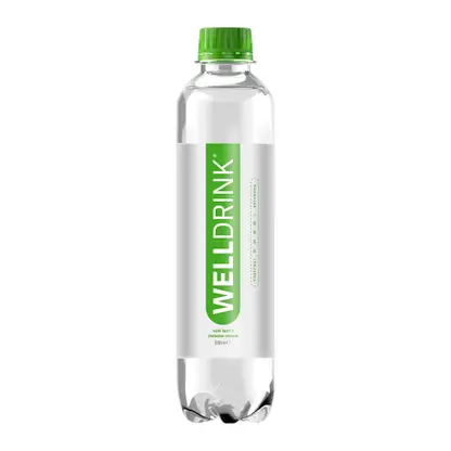 Напиток Welldrinк вкус Чай матэ и лимон-лайм 500мл