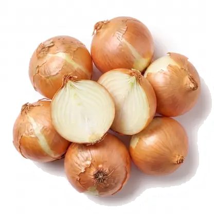 Лук репчатый