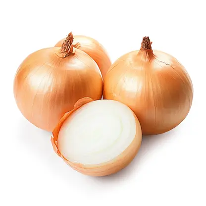 Лук репчатый
